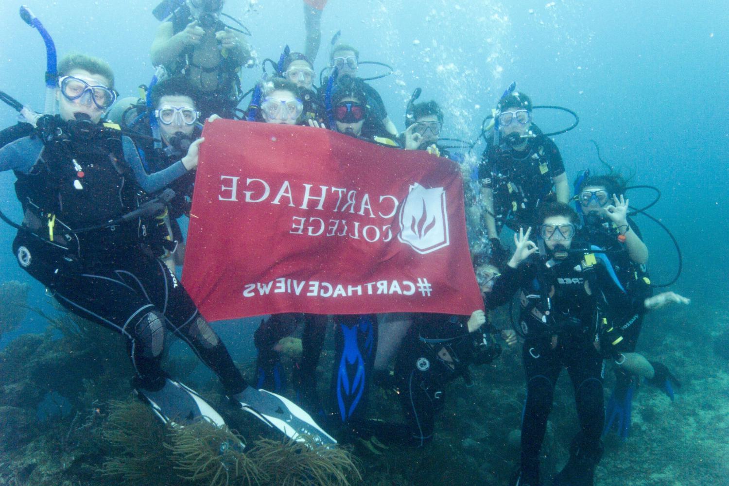 学生们手持<a href='http://sxdx.ngskmc-eis.net'>bv伟德ios下载</a>旗帜，在j学期洪都拉斯游学之旅中潜水.